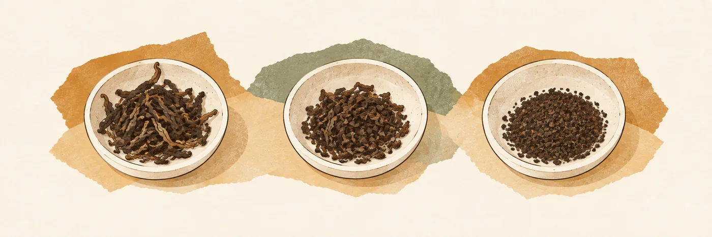 Three cream dishes holding long curled tea leaves, smaller broken pieces and fine particles.